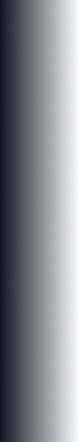 shadow-left